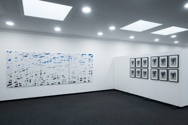 skcns-distruktura-nejednakegeografije-2026-(2)